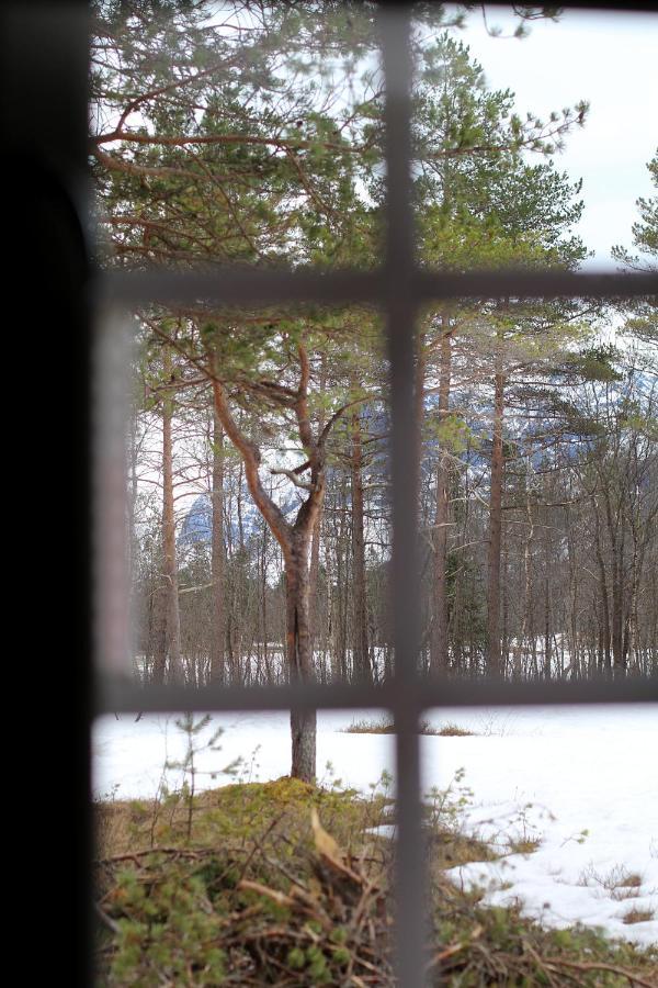 Camp Dronningkrona Alvundeid ภายนอก รูปภาพ